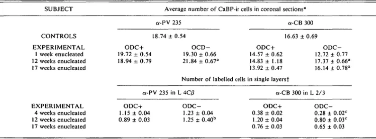 Table 2. Number of CaBP immunoreactive neurons in area 17 of enucleated and normal control macaque monkeys