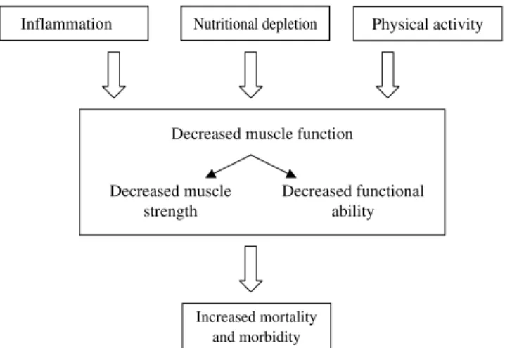 Fig. 1. Clinical factors influencing muscle function and effect on mortality and morbidity.