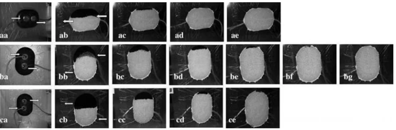 Figure 3 Foam in vertical position.