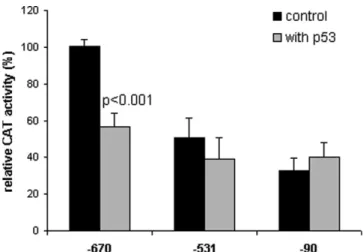 Figure 3: Determination of the minimal promoter sequence required for p53 repression.