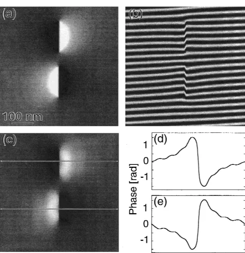 FIG. 8. (a) Ideal phase map of two identical magnetic segments with opposite magnetization direction