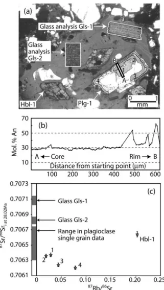 Fig. 3. (a) Plane-polarized light (PPL) photomicrograph of an area of a thick section of BFC191