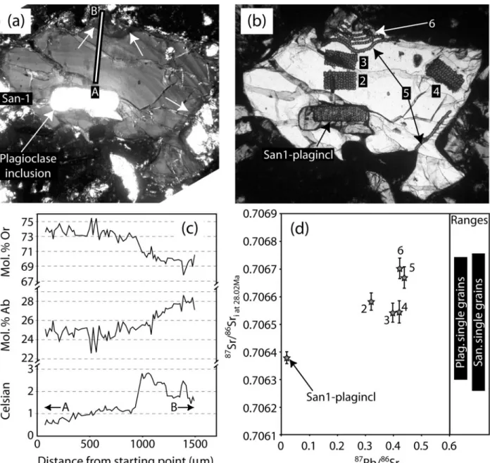 Fig. 5. (a) Thick section PPL photomicrograph of crystal San-1 showing the location of an electron probe traverse A^B