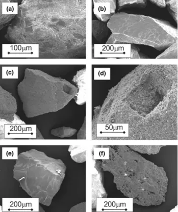 Fig. 3 shows representative breakthrough curves for the Kappelen sands and mono-mineralic sands  investi-gated by column testing (i.e