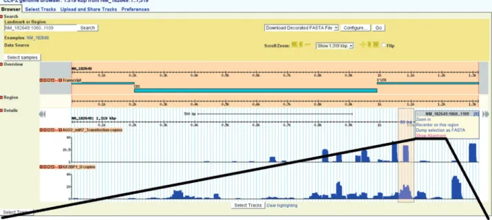 Figure 4. ‘Transcript View’ of the location of AGO2/EIF2C CLIP reads along the transcript with Genbank accession NM_182649, which is the human proliferating cell nuclear antigen (PCNA) transcript variant 2