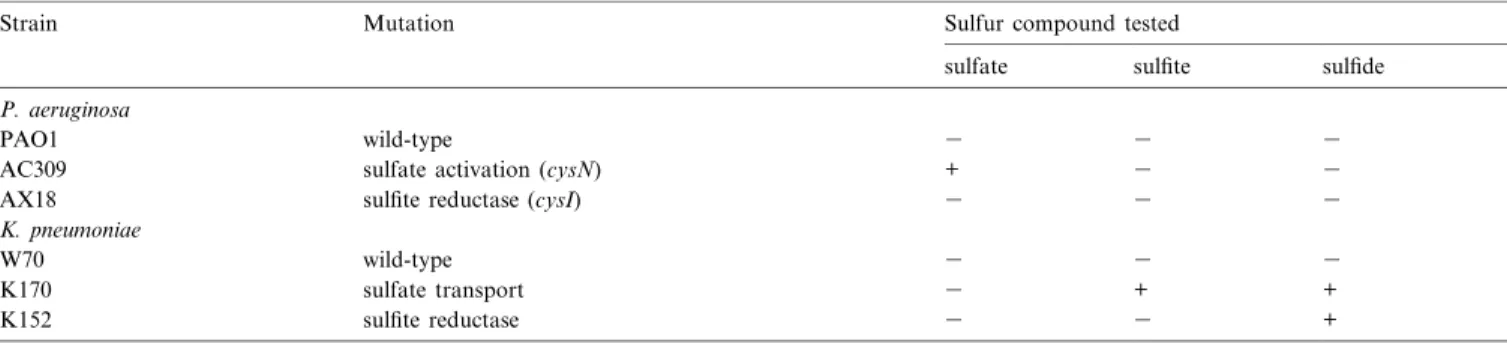 Fig. 7. Proposed mechanism for taurine desulfonation by the K-ketoglutarate-dependent taurine dioxygenase TauD [12]