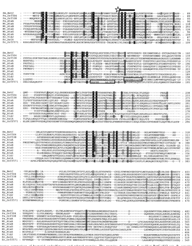 Fig. 3. Sequence comparison of bacterial arylsulfatases and related proteins. The proteins shown are: S