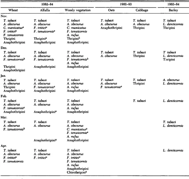 Table 1. Species of thrips collected from different vegetation during the winters of 1982-84; larvse are identified to tribe only Wheat Nov