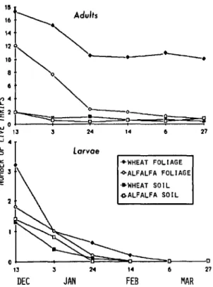 Fig. 2. Mean number (from nine sample units) of T. tabaci adults and larvae recovered from wheat and alfalfa after an initial inoculation of 25 T