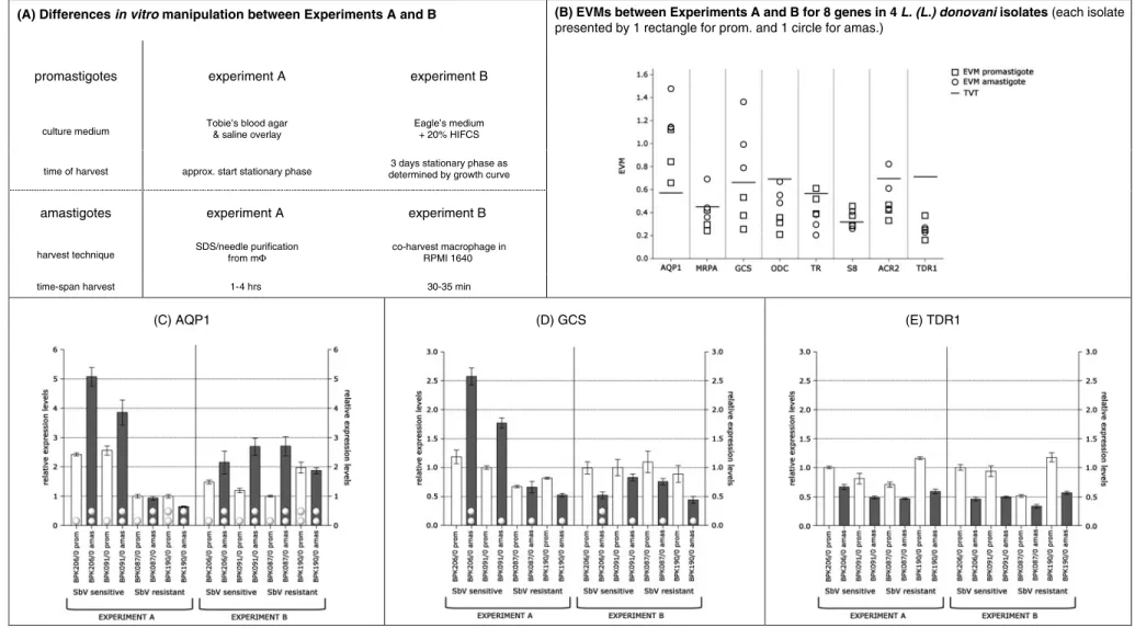 Fig. 1. Summary of gene expression analysis of Leishmania (L.) donovani promastigotes and intracellular amastigotes using diﬀerent in vitro manipulation techniques.
