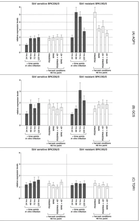Fig. 2. Summary of expression proﬁling of Leishmania (L.) donovani intracellular amastigotes of the isolates BPK206/0 (SbV sensitive) and BPK190/0 (SbV resistant)