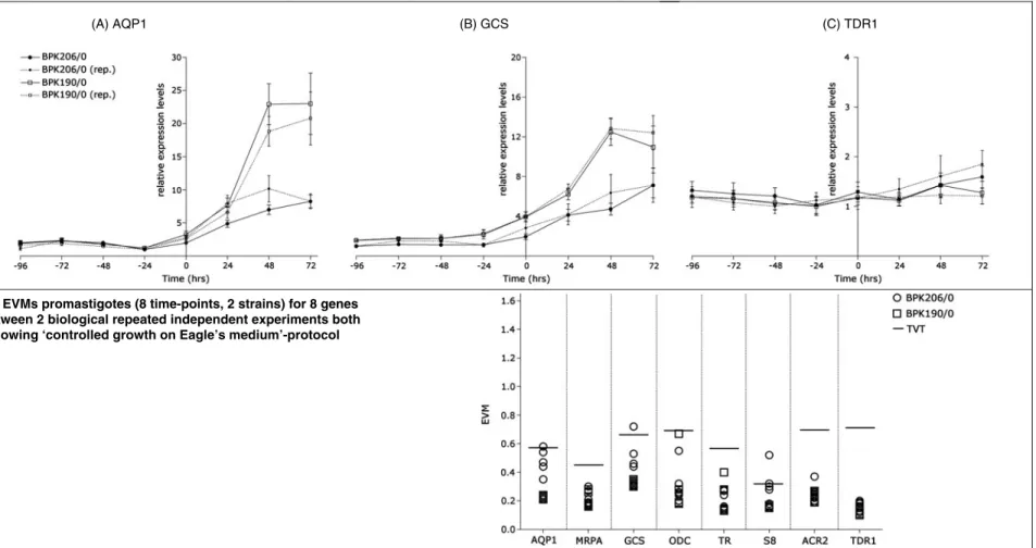 Fig. 3. Summary of expression proﬁling of Leishmania (L.) donovani promastigotes of the isolates BPK206/0 (SbV sensitive) and BPK190/0 (SbV resistant)