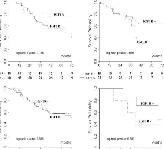 Figure 3. IGF1R expression and survival according to EGFR gene copy number and mutation
