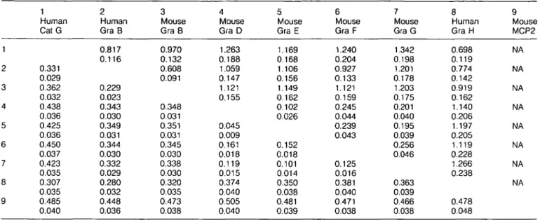 Table 1. Numbers of substitutions per synonymous site, K s  (above diagonal) and numbers of substitutions per nonsynonymous site, K A  (below diagonal), in granzyme sequences from which the codons 63-142 (chymotrypsin residue numbering) were excluded