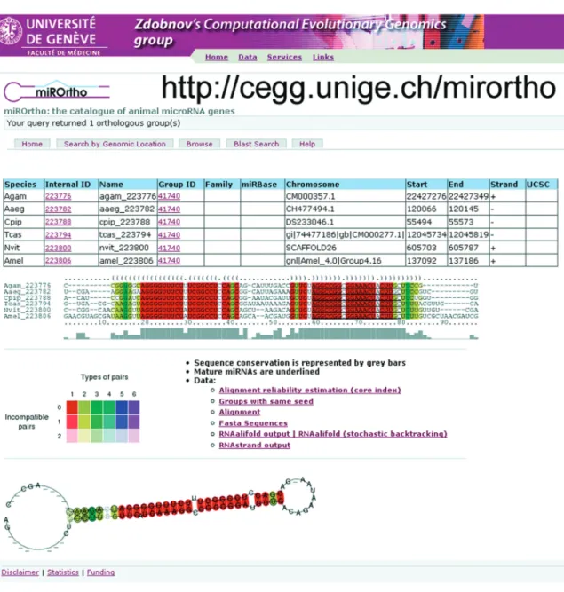 Figure 1. miROrtho screenshot showing a novel miRNA gene family. The results page consists of three parts: (i) a table with detailed information about the individual miRNAs; (ii) a multiple sequence alignment with the consensus secondary structure displaye