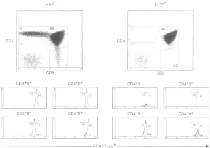 Fig. 3. Three-color FACS analysis of I-E +  and I-E" RAG-2~'~ Ly-5 b  TCR-transgenic thymocytes