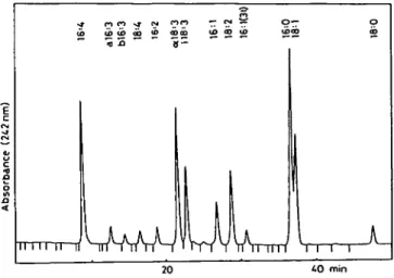 Fig. 1 Incorporation of [2- I4 C]acetate into lipids of Chlamydo- Chlamydo-monas reinhardtii