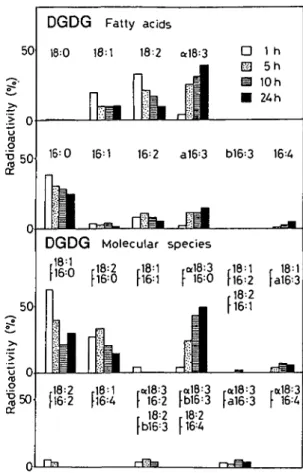Fig. 3 Incorporation of [2- M C]acetate into fatty acids and molecular species of MGDG from Chlamydomonas reinhardtii.