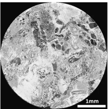 Figure 4. Sealed contained used for pressurized xenon experi- experi-ments. ID = inner diameter, OD = outer diameter.