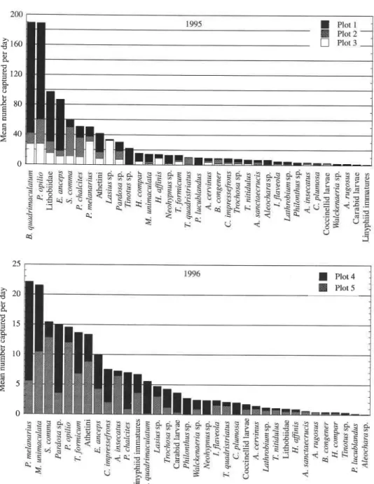 FIGURE  1. Mean  number of  predatory arthropods captured per  day in pitfall traps in  1995 and 1996
