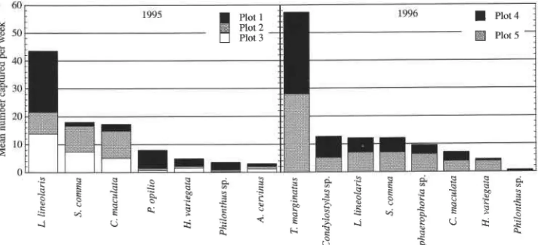 FIGURE  4.  Numbers  of  most  abundant  predatory  arthropods  captured  on  sticky  traps  on  cabbage  plants,  adjusted  to  number  captured  per  week  for  five  plots  in  1995  and  1996
