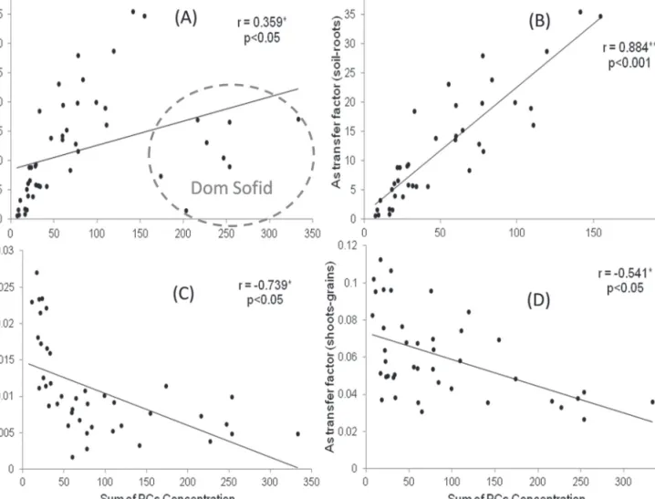 Fig. 5.  Scatter plots of PCs (sum of PCs concentration, SoP, free PCs+PCs As) on As transfer factor (TF) in all the cultivars studied: A (n=48), TF soil–root versus SoP; B (n=40), TF soil–root  versus SoP with Dom Sofid removed; C (n=42), TF roots–grain  