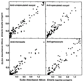 Fig. 1. ELISA cross-reactivity of sera, from hatchlings of hens infected with Eimeria maxima, with antigen extracts of Eimeria tenella.