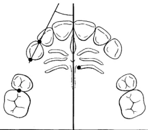Figure 2 Overview of the time spans and recordings of the study.