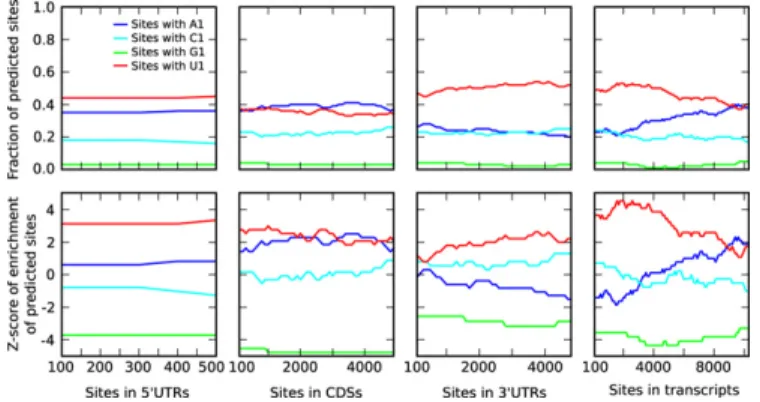 Table 1. Structural statistics for GLD1 KH-QUA2 with 5  - -CUACUCAUAU-3  RNA
