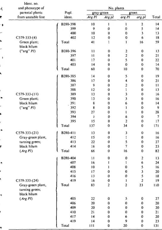 Table V. Distribution of phenotypes in the Fj from crosses between gray-green plants homoiygoug for Arg and PI ("stable" line) and "arg" plants or Arg plants in which the reproductive portion was