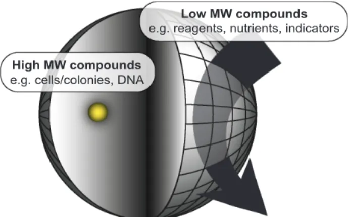 Figure 1. nl-Reactors’ characteristics. nl-Reactors consist of a highly thermostable hydrogel and have a volume of 35 nl (diameter of 400 mm)