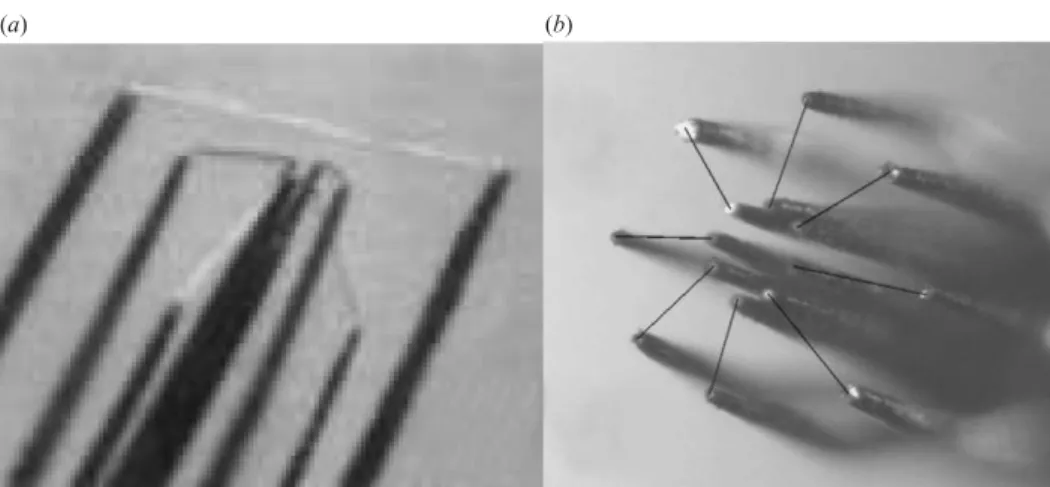 Figure 3. Two ‘in one point’ probes. (a) A four-wire and a single-wire probe; (b) two four-wire probes.