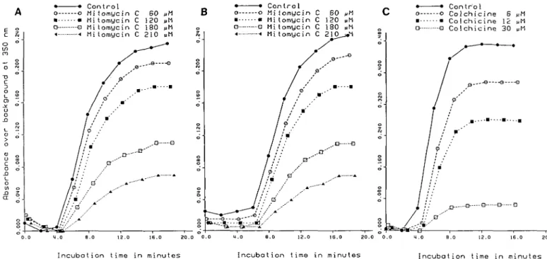 Fig. 1. (A) Tubulin assembly test with 3.4 mg/ml porcine brain tubulin and different concentrations of MMC