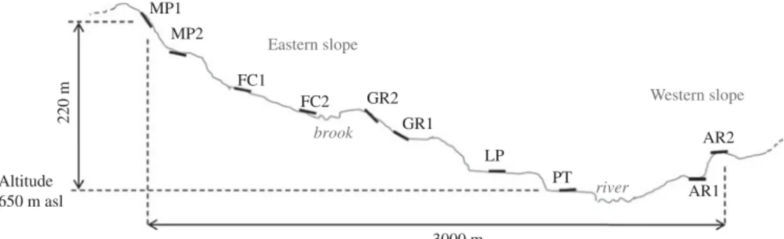 Fig. 2. Transversal view of the landscape positions of the profiles. MP1, upland, hillslope; MP2, upland, terrace; FC1, upland, smooth slope; FC2, upland, brookside; GR2, hillslope shoulder; GR1, hillslope foot; LP, lowland, terrace; PT, floodplain; AR1, d