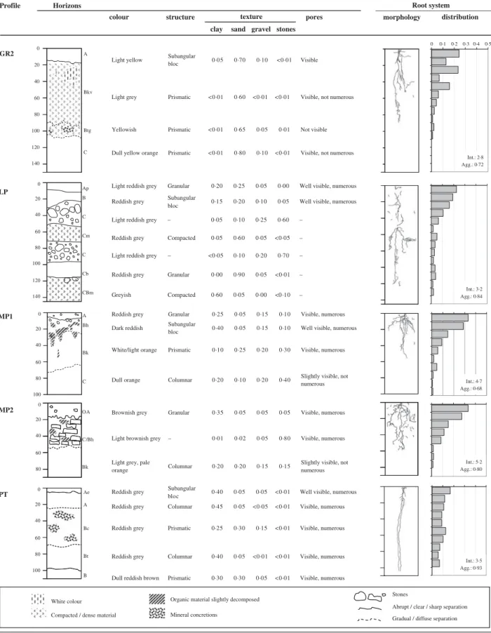 Table 2. (Continued) Int.: 2·8 Agg.: 0·72 Int.: 4·7 Agg.: 0·68 Int.: 5·2 Agg.: 0·80 Int.: 3·5 Agg.: 0·93 Int.: 3·2Agg.: 0·84