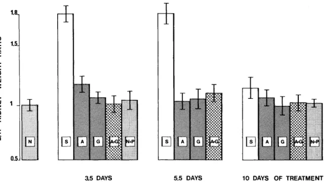 Figure 3. Effect of antibiotic treatment for various intervals on the severity of pyelonephritis as measured by the ratio of the weight of the left kidney to that of the right (L/R)