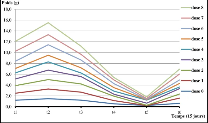 Figure n°66 : Différence du poids total des escargots lors de la deuxième période  d’expérimentation en fonction du temps 