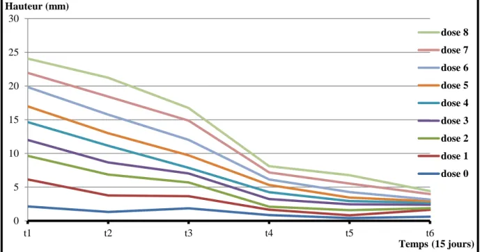Figure n°68 : Différence de la hauteur de la coquille des escargots lors de la deuxième  période d’expérimentation en fonction du temps 