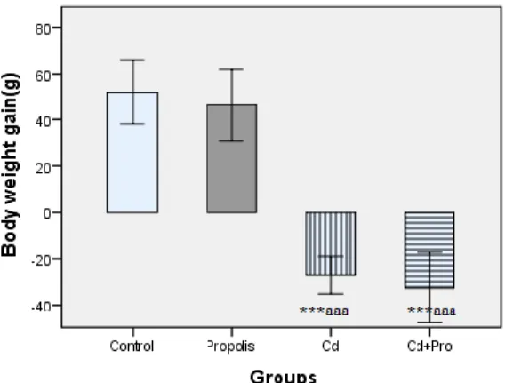 Figure 1:  Body  weight  gain/loss.  Expressed  as  body  weight  gain/loss  in  12  weeks  of  treatment  of  control rats  (control), propolis treated rats at dose of 25 mg/kg BW (Propolis), CdCl 2  treated rats at dose of 300 mg/l water (Cd),  propolis 