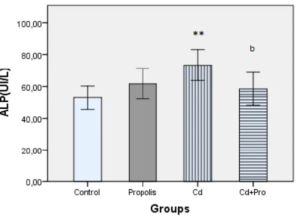 Figure 5:  Serum  ALP  level.  Expressed  as  serum  ALP  level  in  12  weeks  of  treatment  of  control  rats  (control),  propolis treated rats at dose of 25 mg/kg BW (Propolis), CdCl 2  treated rats at dose of 300 mg/l water (Cd), propolis 25  mg/kg  