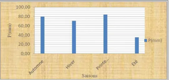 Figure 14 : Répartition moyenne mensuelle des précipitations (1975-2010) 