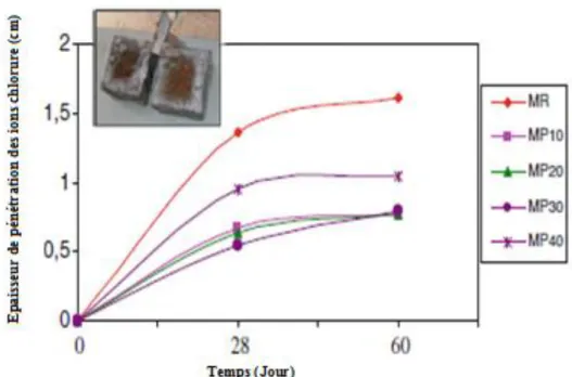 Figure I.21.Epaisseur de pénétration des ions chlorure dans les mortiers chargés par des  quantités de déchet de plastique [80]