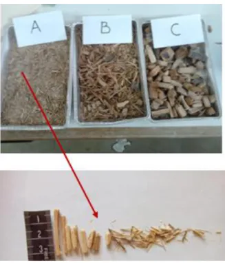 Figure II.3.Différentes tailles des fibres de bois de palmier dattier A, B et C. 