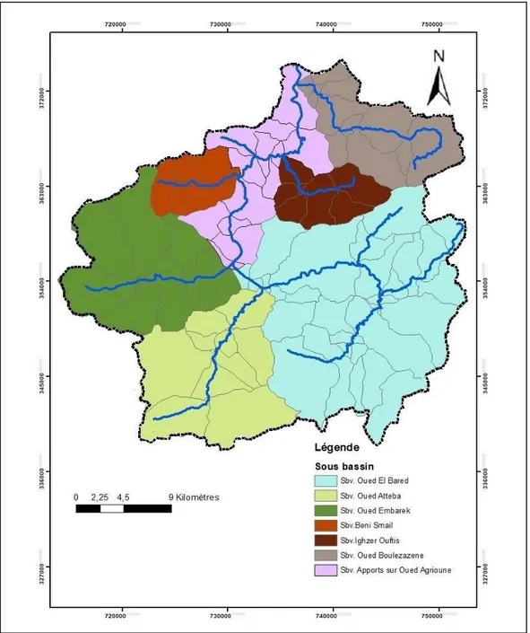 Figure III.6. Répartition des sous bassins versants du bassin d'Agrioune 