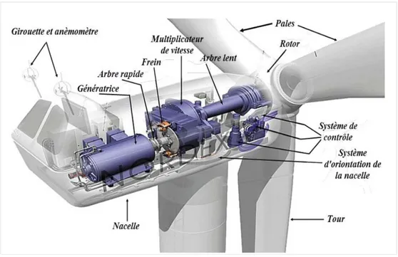 Figure I.8 : Principaux composants de l’éolienne moderne. 