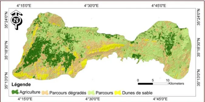 Figure III. 10 : Représentation graphiq ue des classes d’occupation/ utilisation des terres- terres-(2005).0.0050.00100.00150.00200.00250.00300.00350.00400.00450.00500.00AgricultureParcoursdégradés Parcours Dunes desable2011138.85230.11353.2567.75Surface K