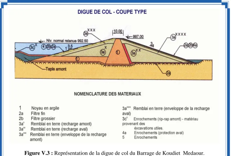 Figure V.3 : Représentation de la digue de col du Barrage de Koudiet  Medaour.                 