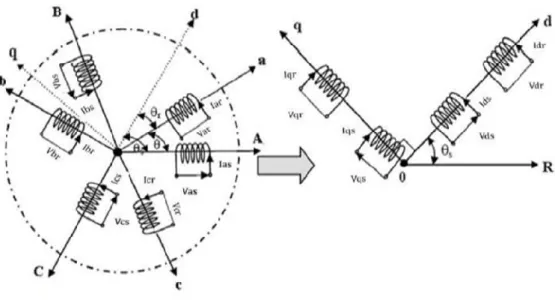 Figure I.3 Représentation schématique de modèle  triphasée du moteur et son modèle  biphasée  équivalent