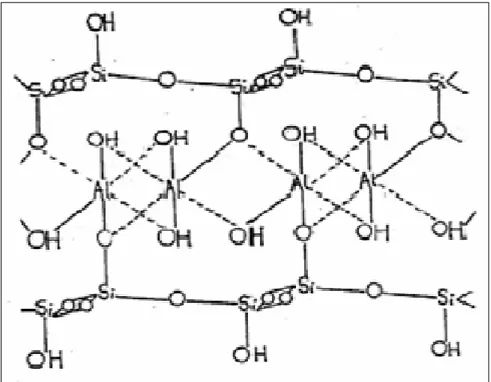 Figure III.1. Structure de la montmorillonite d’après Hoffmann  III.2.1.2.2. Structure selon Edelman-Favejee  