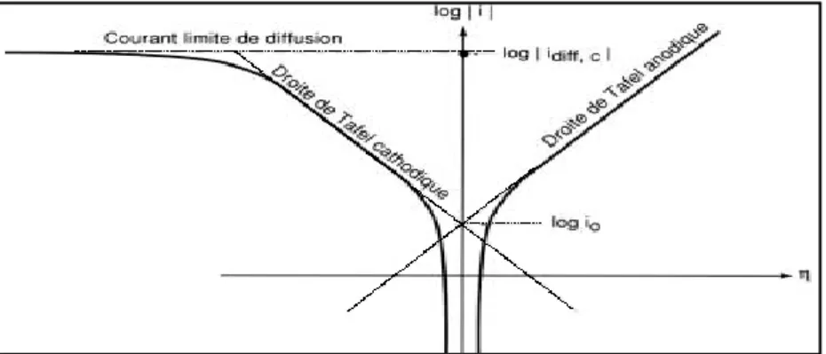 Fig. II.2  Courbe de polarisation des réactions de transfert de charges, dont l'une est limitée par  la diffusion d'une espèce [3]